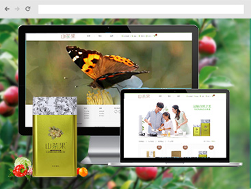 山茶果官方網站設計制作